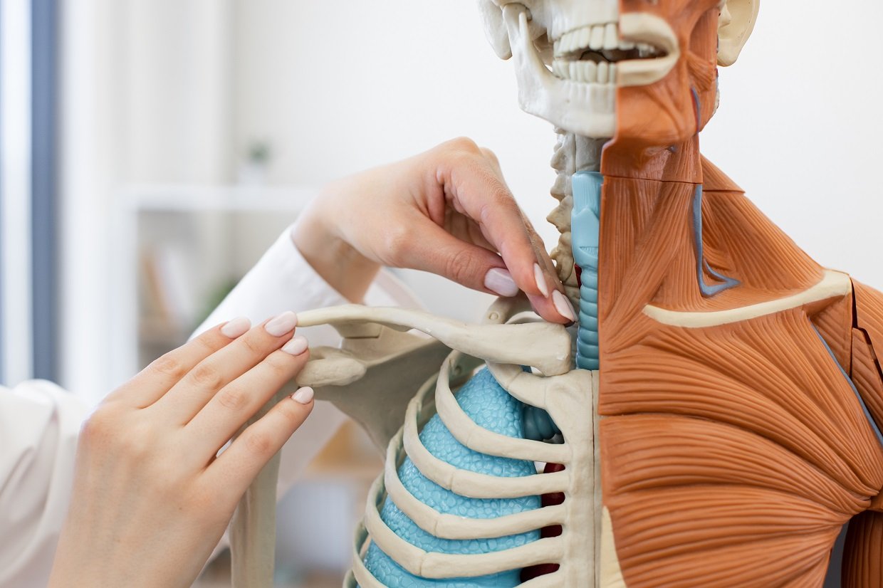 wellbeing chiropractic and chiropractic services